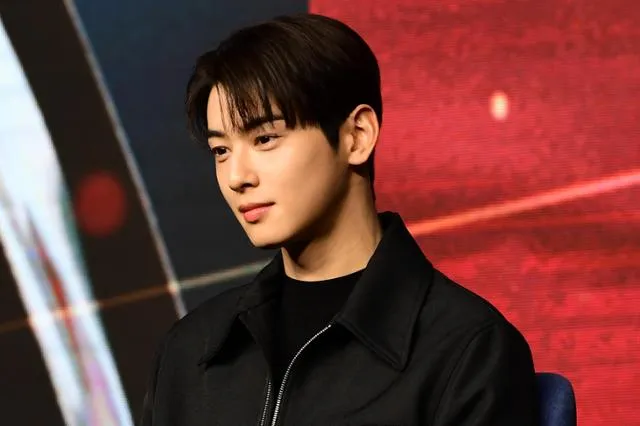 '차은우 탈세 의혹 벗으려면?'... 국세청 답은 "법인, 업무 흔적 있어야"